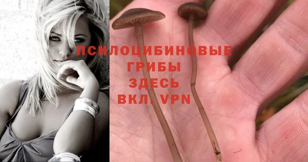 COCAINE Михайловка