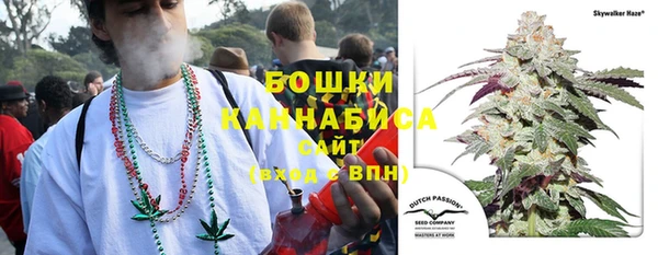 дурь Медвежьегорск